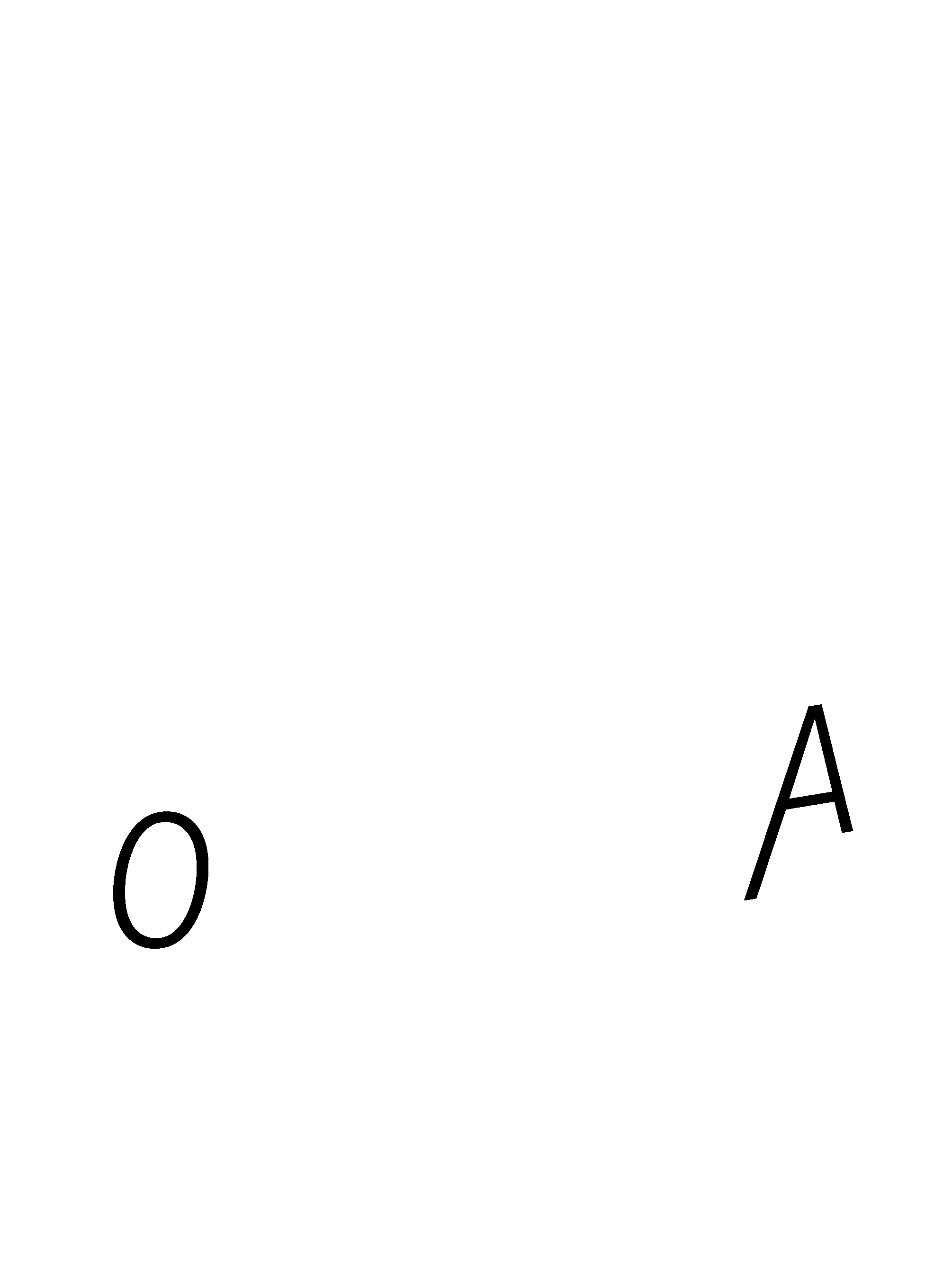 Northstar 8 White Logo